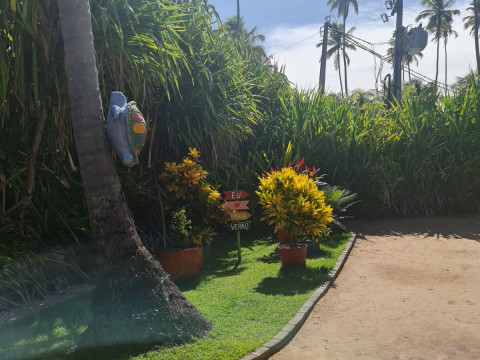 Porto De Galinhas Abril 2023 - 