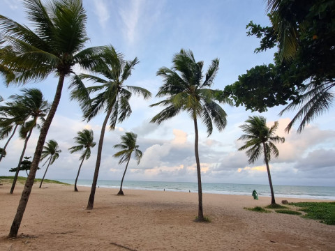 Porto De Galinhas Abril 2023 - 