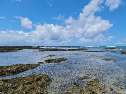 Porto De Galinhas Abril 2023 - 