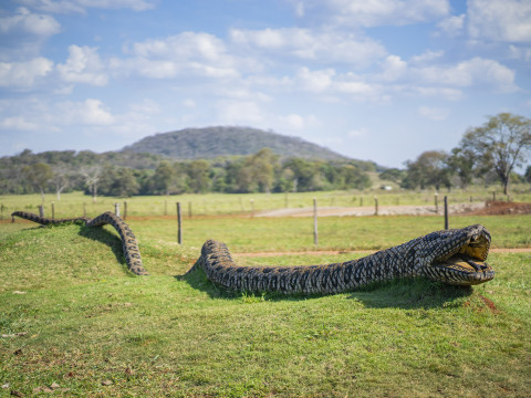 Pantanal Setembro 2022 - 