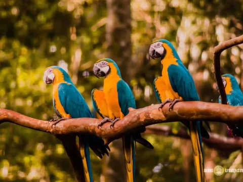 Foz do Iguaçu Ciudad Del Este - 