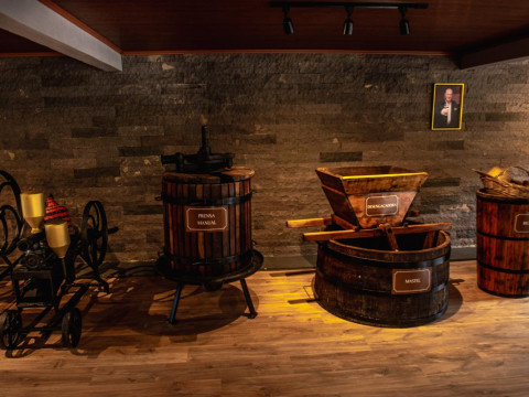 Vindima, Arroio Trinta-SC - 