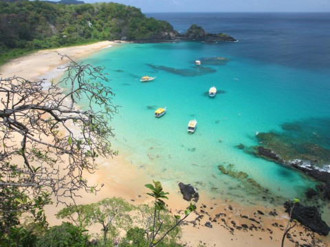 Fernando de Noronha - 