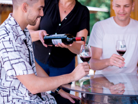 Vindima, Arroio Trinta-SC - 