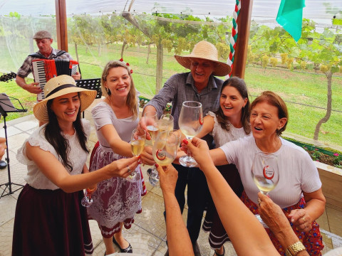 Vindima, Arroio Trinta-SC - 