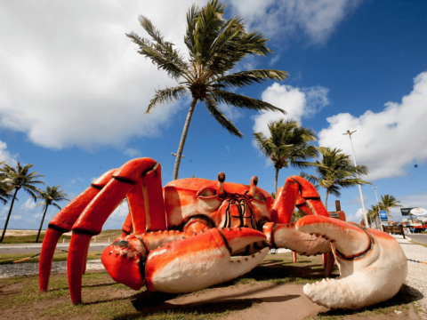 Nordeste incrível - 