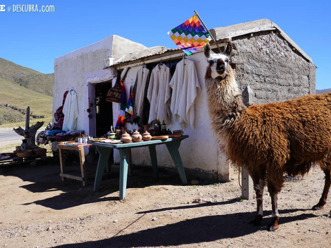Tacumán, Cafayate, Salta, Jujuy e Uyuni - 