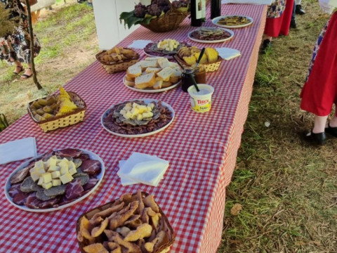 Vindima, Arroio Trinta-SC - 