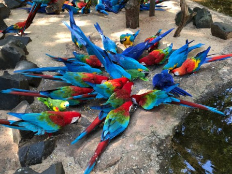 Foz do Iguaçu Ciudad Del Este - 