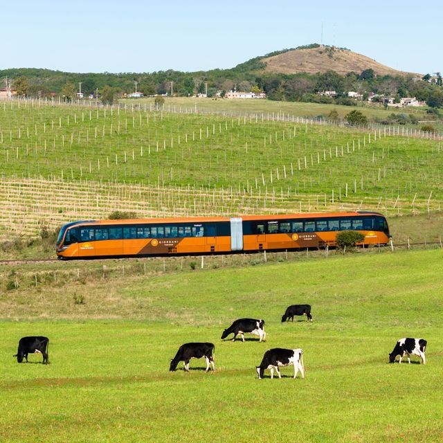 Trem dos Pampas - 